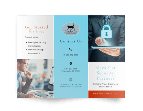 Brochure for Black Cat Security Partners
