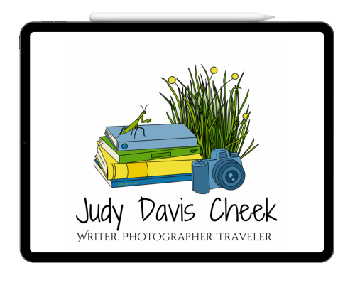 Ipad showing the logo for Judy Davis Cheek